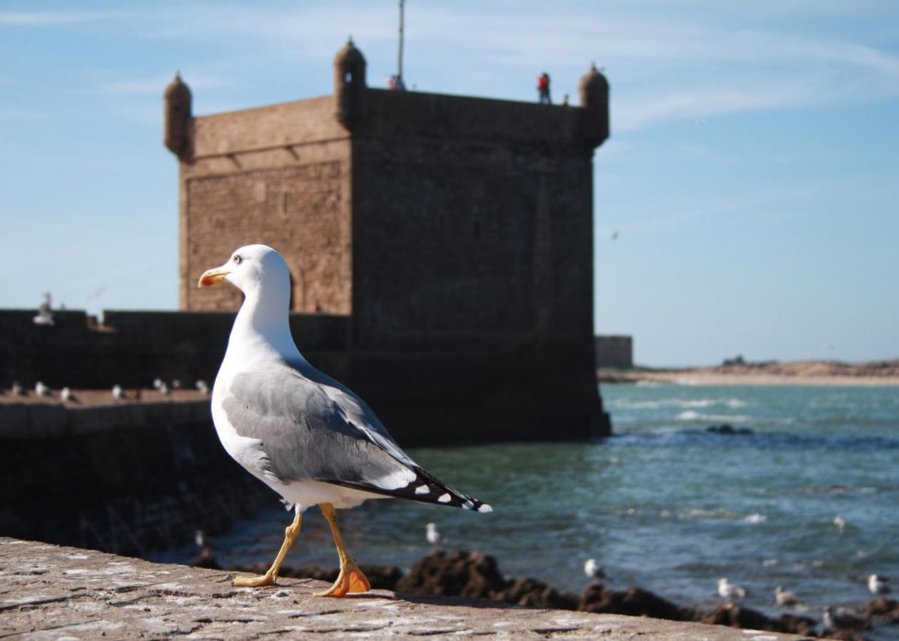 Dar Tranquille Hotel Essaouira Luaran gambar
